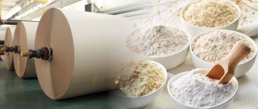 بعد ضجة “الدقيق المدعم بالورق”.. مهني يشرح أصل التصريحات المثيرة بعد ضجة “الدقيق المدعم بالورق”.. مهني يشرح أصل التصريحات المثيرة