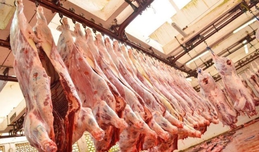 ماذا يزداد اعتماد المغرب على لحوم الأبقار الأوروبية؟ ماذا يزداد اعتماد المغرب على لحوم الأبقار الأوروبية؟