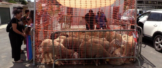 حزب “فوكس” يدعو لحظر الاحتفال بعيد الأضحى في إسبانيا حزب “فوكس” يدعو لحظر الاحتفال بعيد الأضحى في إسبانيا