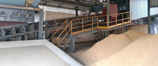 بعد اتهامات“طحن الورق”.. السلطات تغلق 9 مطاحن بسبب شبهات في جودة الدقيق