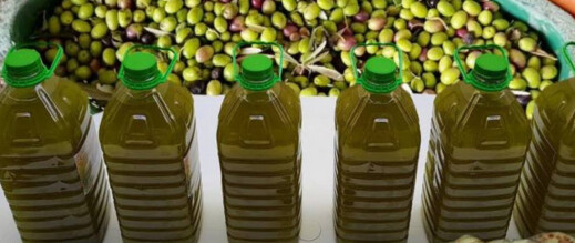 درك بني ملال يضبط 9 أطنان من زيت الزيتون ممزوج بزيت المائدة كانت موجهة للأسواق