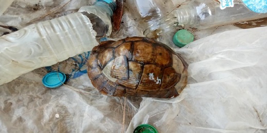 النصب عبر الشعوذة تطيح بإمام زاوية في قبضة الأمن