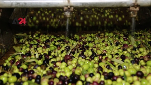 زيت مسموم في أسواق الناظور.. مطاحن تتلاعب بصحة المواطنين وسط غياب الرقابة زيت مسموم في أسواق الناظور.. مطاحن تتلاعب بصحة المواطنين وسط غياب الرقابة