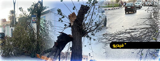 عاصفة مفاجئة تهز الناظور وتسقط أشجارا قرب النافورة ومقهى فيكتوريا