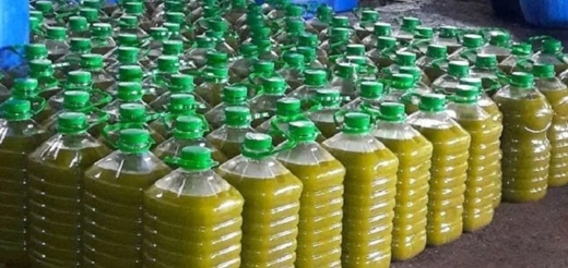 ما حقيقة إعادة زيت زيتون مغربي ملوث من أوروبا؟.. أونسا توضح