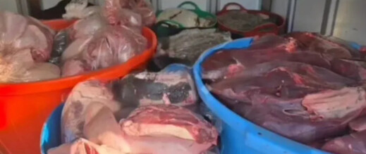 حجز حوالي طن من اللحوم الفاسدة كانت في طريقها إلى الأسواق
