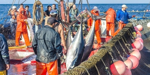 الاتحاد الأوروبي يفتح مفاوضات جديدة مع المغرب حول اتفاق الصيد البحري الاتحاد الأوروبي يفتح مفاوضات جديدة مع المغرب حول اتفاق الصيد البحري