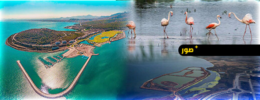 اجتماع استراتيجي لتعزيز حماية البيئة واستعادة النظم الإيكولوجية لبحيرة مارشيكا