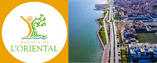 وكالة تنمية اقاليم جهة الشرق.. مشاريع بلا اثر وبصمة غائبة بالناظور