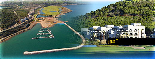 مارشيكا ميد: ديناميكية التحول المؤكدة والمدعومة بمؤشرات إيجابية