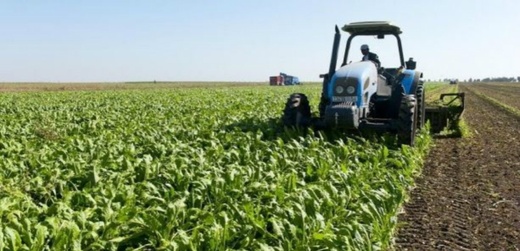 تحذيرات من الإفراط في استخدام المضادات الحيوية في الفلاحة وتربية الماشية تحذيرات من الإفراط في استخدام المضادات الحيوية في الفلاحة وتربية الماشية