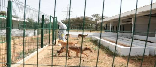 هذه مستجدات المشروع الضخم لإيواء الحيوانات الضالة.. ومستوى تقدم الأشغال في المدن المعنية