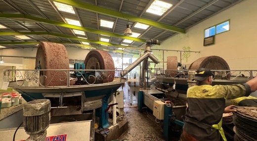 مدن الشمال تحت مجهر الرقابة.. ضبط آلاف اللترات من زيت الزيتون المغشوش