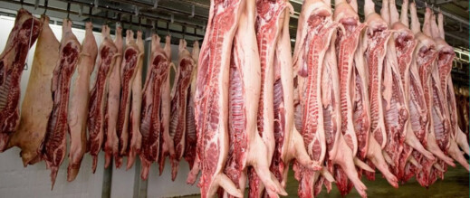 أسعار اللحوم الحمراء تتخطى 120 درهماً.. ووزير الفلاحة يستعرض أمام النواب