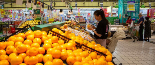 المغرب يحقق قفزة غير مسبوقة في صادرات الماندرين والكلمنتين إلى ألمانيا