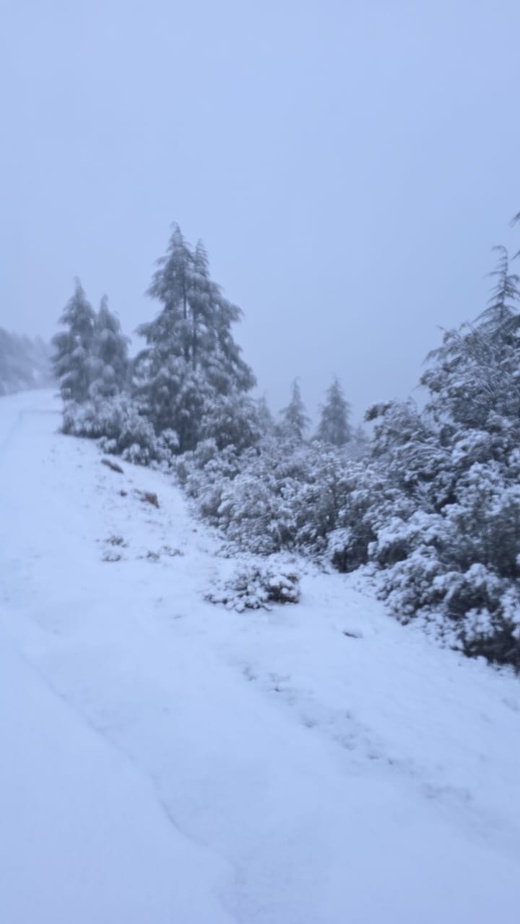 تساقطات ثلجية مهمة بجبل تيزي فري وبني عمارت بإقليم الحسيمة تساقطات ثلجية مهمة بجبل تيزي فري وبني عمارت بإقليم الحسيمة