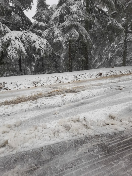 تساقطات ثلجية مهمة بجبل تيزي فري وبني عمارت بإقليم الحسيمة