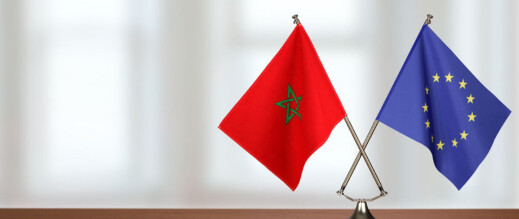 الجالية المغربية ضمن الأكثر استهدافاً بأوامر مغادرة الاتحاد الأوروبي