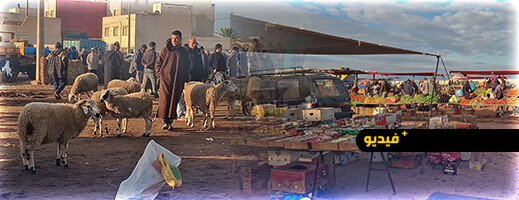 الغلاء يفسد "فرحة الشتاء" بكبدانة.. جولة ميدانية تكشف تفاصيل الأسعار في أعرق أسواق إقليم الناظور