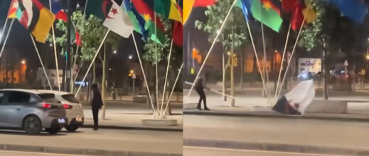 نزع علم الجزائر من الشارع يحيل حدثين على قاضي التحقيق 