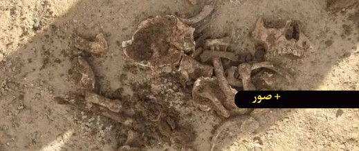 العثور على بقايا عظام بشرية أثناء حرث أرض فلاحية يستنفر السلطات