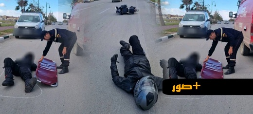 رعب على الطريق الوطنية رقم 6.. الكلاب الضالة تتسبب في "سقوط حر" لصاحب دراجة رعب على الطريق الوطنية رقم 6.. الكلاب الضالة تتسبب في "سقوط حر" لصاحب دراجة