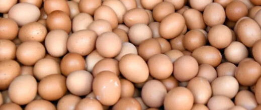 “أونسا” تحذر المغاربة من مخاطر استهلاك البيض قبيل رمضان