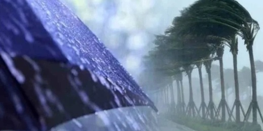 أمطار بالريف والمنطقة الشرقية ورياح قوية بعدة مناطق