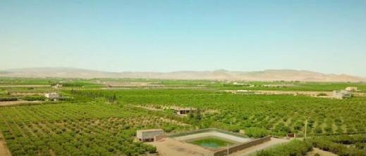 أمطار الخير تنعش مزارع الناظور وبركان: زيادة قياسية في التساقطات بنسبة 264% بمدار ملوية