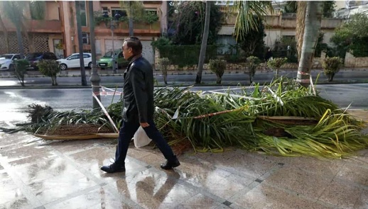 وفاة امرأة من أصول مغربية إثر سقوط نخلة عليها في إسبانيا بسبب العاصفة "جوزيف"