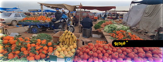 جولة في سوق أركمان: ارتفاع أسعار الخضر واللحوم وضعف الإقبال على المواشي