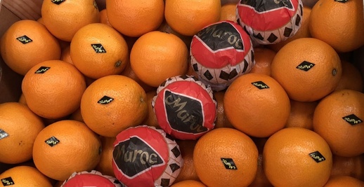 أوروبا تشرع دخول منتجات مغربية من الصحراء رغم اعتراضات إسبانية أوروبا تشرع دخول منتجات مغربية من الصحراء رغم اعتراضات إسبانية