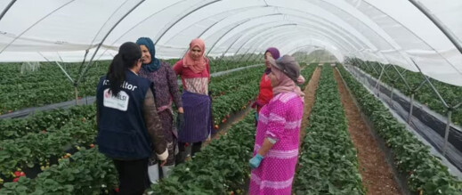 التقلبات الجوية تعطل سفر العاملات المغربيات الموسميات لإسبانيا