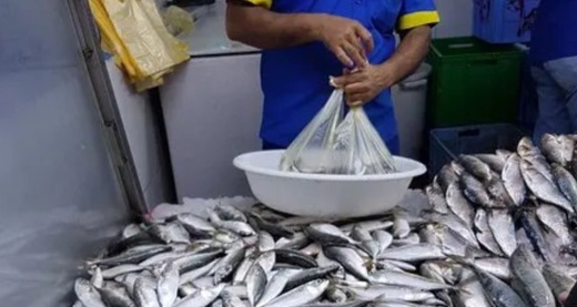 كتابة الدولة للصيد البحري: تقييد تصدير السردين إجراء ظرفي لدعم السوق الوطنية كتابة الدولة للصيد البحري: تقييد تصدير السردين إجراء ظرفي لدعم السوق الوطنية