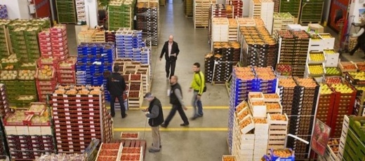 الأمطار في المغرب وجنوب إسبانيا تربك إمدادات الخضر والفواكه ببلجيكا وهولندا الأمطار في المغرب وجنوب إسبانيا تربك إمدادات الخضر والفواكه ببلجيكا وهولندا