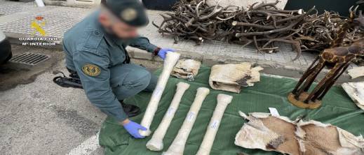 الحرس المدني الإسباني يحبط تهريب أجزاء حيوانات إفريقية نادرة على متن حافلة قادمة من المغرب