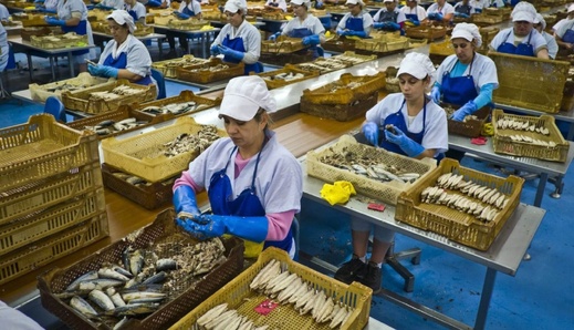 تعليق تصدير السردين المغربي يضع مصانع التعليب بإسبانيا تحت ضغط شديد