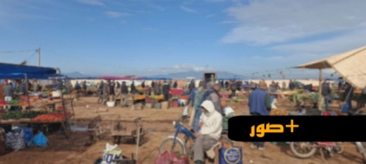 بين الخضر والفواكه واللحوم.. جولة ميدانية تكشف واقع الأسعار بأسواق الناظور بين الخضر والفواكه واللحوم.. جولة ميدانية تكشف واقع الأسعار بأسواق الناظور