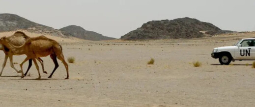 واشنطن تعلن مراجعة استراتيجية لبعثة “مينورسو” في الصحراء المغربية قبل اجتماع مجلس الأمن