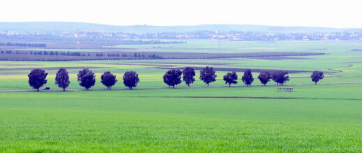 حكومة سانشيز: الشراكة مع المغرب ركيزة للأمن الغذائي والتعاون التقني