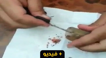 بالفيديو.. العثور على طلاسم و جداول وحروز داخل إحدى سيارات الأجرة بالناظور بالفيديو.. العثور على طلاسم و جداول وحروز داخل إحدى سيارات الأجرة بالناظور