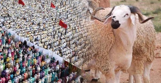 حسابات فلكية ترجح حلول عيد الأضحى بالمغرب في هذا التاريخ حسابات فلكية ترجح حلول عيد الأضحى بالمغرب في هذا التاريخ