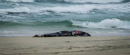 الصورة تعبيرية