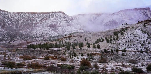 الأرصاد تحذر من طقس بارد ورياح قوية تضرب الحسيمة وعدة مناطق بالمغرب الأرصاد تحذر من طقس بارد ورياح قوية تضرب الحسيمة وعدة مناطق بالمغرب