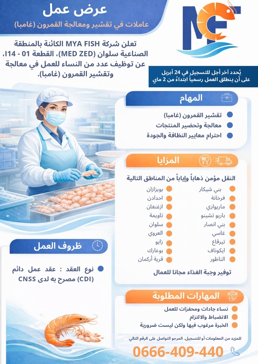 شركة MYA FISH  تفتح باب التشغيل أمام نساء الناظور في معالجة وتقشيرالقمرون