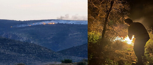 ألسنة اللهب تلتهم الغابات بالدريوش.. هل كانت “نزهة” وراء الحريق؟