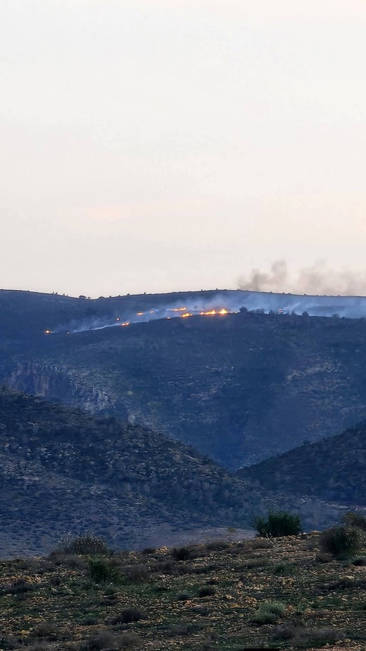 ألسنة اللهب تلتهم الغابات بالدريوش.. هل كانت “نزهة” وراء الحريق؟ ألسنة اللهب تلتهم الغابات بالدريوش.. هل كانت “نزهة” وراء الحريق؟