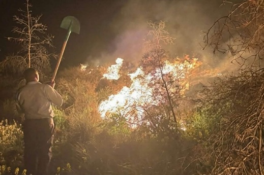 ألسنة اللهب تلتهم الغابات بالدريوش.. هل كانت “نزهة” وراء الحريق؟