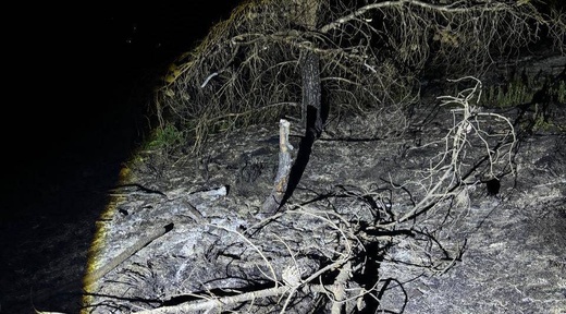 ألسنة اللهب تلتهم الغابات بالدريوش.. هل كانت “نزهة” وراء الحريق؟ ألسنة اللهب تلتهم الغابات بالدريوش.. هل كانت “نزهة” وراء الحريق؟