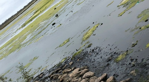 طحالب ونفايات ببحيرة مارتشيكا تقلق فعاليات مدنية والأنظار تتجه صوب وكالة التهيئة